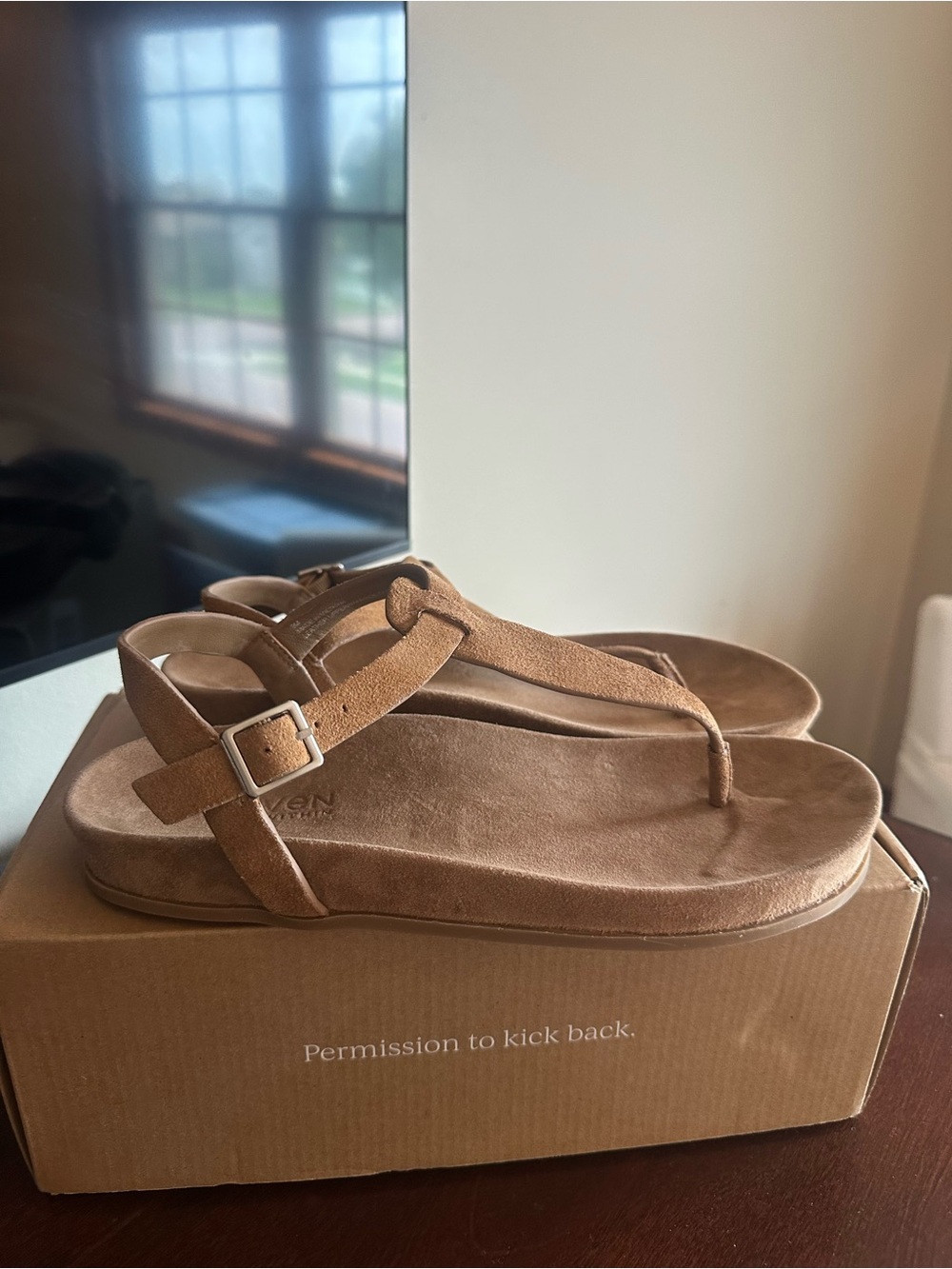 Haven Well Within Suede Thong Sandals
 Tan